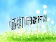 小脑扁桃体下疝畸形05041-PPT课件