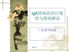 IgA肾病指南解读--课件