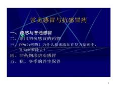 常见感冒与抗感冒药 课件