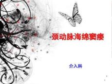 颈动脉海绵窦瘘护理教学查房课件
