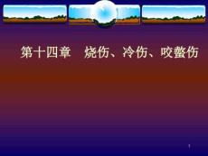 烧伤、冷伤、咬螫伤