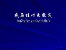 感染性心内膜炎课件