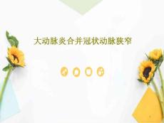 大动脉炎合并冠状动脉狭窄课件