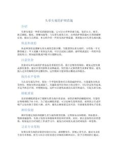 头晕头痛的护理措施