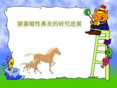 猪萎缩性鼻炎的研究进展课件