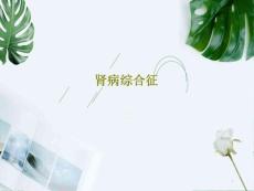 肾病综合征课件