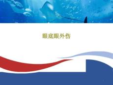 眼底眼外伤课件