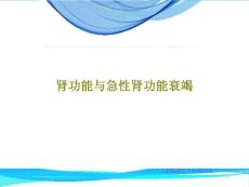 肾功能与急性肾功能衰竭课件