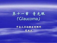 青光眼讲义课件