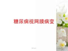 糖尿病视网膜病变---课件