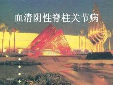 血清阴性脊柱关节病课件