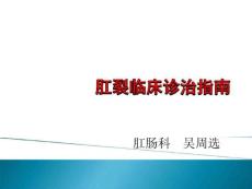 肛裂诊治指引课件