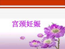 〖医学〗宫颈妊娠课件