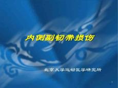 内侧副韧带损伤课件
