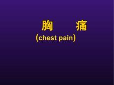 胸痛PPT课件
