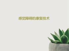 感觉障碍的康复技术课件