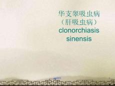 华支睾吸虫病(肝吸虫病)clonorchiasis-sinensis--课件