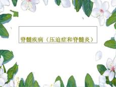 脊髓疾病(压迫症和脊髓炎)课件