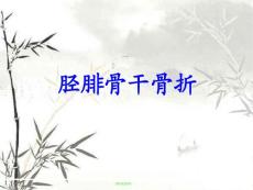 胫腓骨干骨折-课件