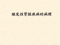 继发性肾脏病的病理特点课件