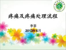 疼痛及疼痛处理流程课件