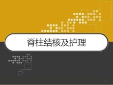 脊柱结核及护理课件