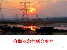 脊髓亚急性联合变性课件