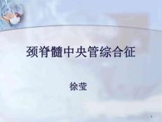 颈脊髓中央管综合征课件