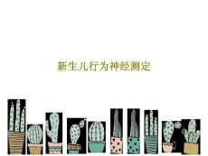 新生儿行为神经测定课件