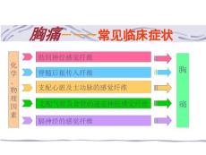 胸痛的鉴别诊断与胸痛管理新模式课件