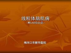 线粒体脑肌病-ppt课件