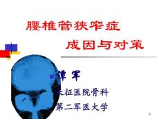 腰椎管狭窄症 课件