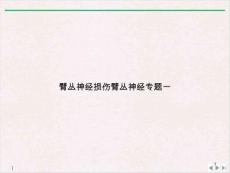 臂丛神经损伤臂丛神经专题一演示ppt课件