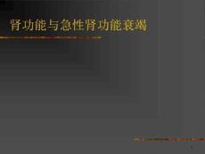 肾功能与急性肾功能衰竭课件