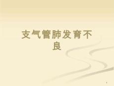 支气管肺发育不良课件