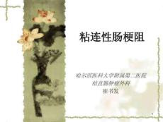 粘连性肠梗阻课件