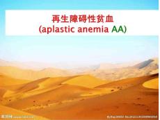 再生障碍性贫血 课件