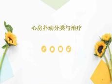 心房扑动分类与治疗 课件
