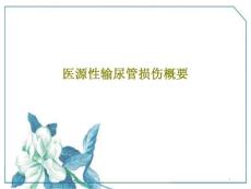 医源性输尿管损伤概要课件