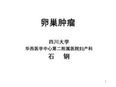 卵巢肿瘤课件