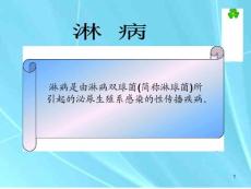 《淋病》课件