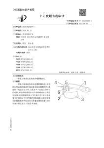 一种基于眼球追踪的眼球震颤辅助仪