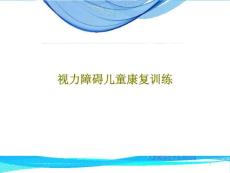 视力障碍儿童康复训练ppt课件