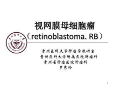 视网膜神经母细胞瘤教学版课件