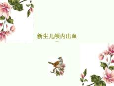 新生儿颅内出血课件
