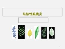 结核性脑膜炎 ppt课件