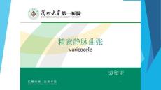 精索静脉曲张课件