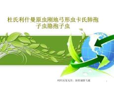 杜氏利什曼原虫刚地弓形虫卡氏肺孢子虫隐孢子虫课件