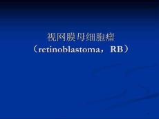 视网膜母细胞瘤影像学表现课件