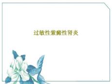 过敏性紫癜性肾炎课件